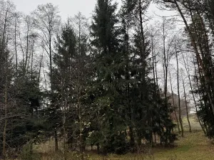 Prodej podílu pozemku, Veliny, 16991 m2