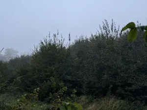 Prodej pozemku, Mladá Boleslav, 9466 m2