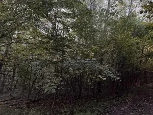 Prodej pozemku, Mladá Boleslav, 9466 m2