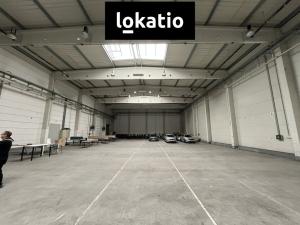 Pronájem skladu, Plzeň, Folmavská, 1105 m2