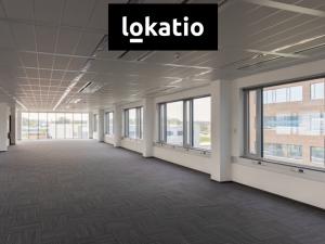 Pronájem skladu, Plzeň, Folmavská, 1105 m2