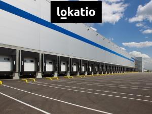 Pronájem skladu, Ostrov, 4753 m2