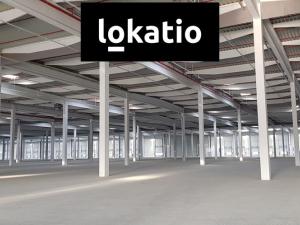 Pronájem skladu, Ostrov, 4753 m2