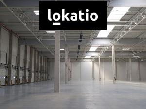 Pronájem skladu, Ostrov, 4753 m2