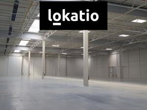 Pronájem skladu, Ostrov, 4753 m2