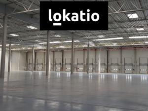 Pronájem skladu, Ostrov, 4753 m2
