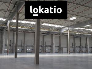 Pronájem skladu, Ostrov, 4753 m2