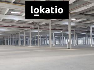 Pronájem skladu, Ostrov, 4753 m2