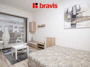 Pronájem bytu 1+kk, Brno - Slatina, Kigginsova, 40 m2