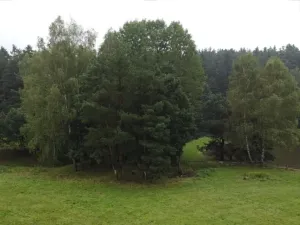 Dražba pozemku, Kaplice, 10983 m2