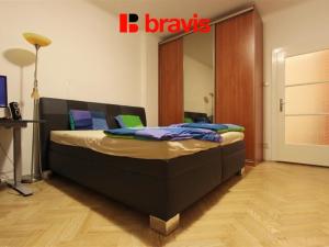 Pronájem bytu 1+1, Brno, Kounicova, 50 m2