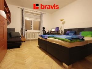 Pronájem bytu 1+1, Brno, Kounicova, 50 m2
