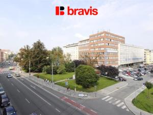 Pronájem bytu 1+1, Brno, Kounicova, 50 m2