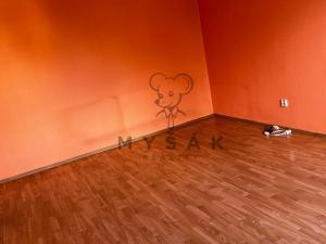 Pronájem bytu 1+1, České Budějovice - České Budějovice 2, Prachatická, 36 m2