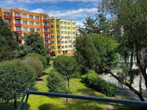 Pronájem bytu 1+1, České Budějovice - České Budějovice 2, Prachatická, 36 m2