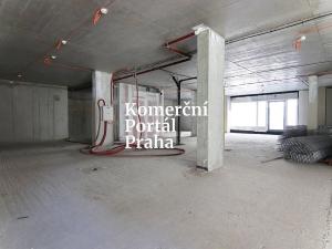 Pronájem restaurace, Praha - Nusle, Lomnického, 470 m2