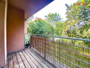 Pronájem bytu 1+kk, Lovosice, Osvoboditelů, 39 m2