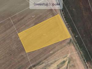 Prodej pole, Dolany, 16500 m2