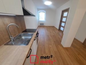 Pronájem bytu 2+kk, Dlouhá Loučka, 43 m2