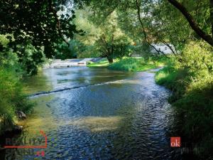 Prodej chaty, Blovice, Kamensko, 32 m2