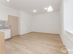 Pronájem bytu 3+kk, Brno - Židenice, Klíny, 63 m2
