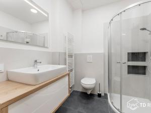 Pronájem bytu 3+kk, Brno - Židenice, Klíny, 63 m2