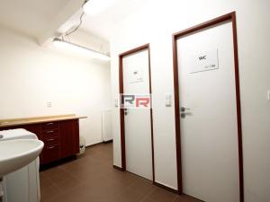 Pronájem výrobních prostor, Čelechovice na Hané, Ruská, 90 m2