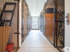Prodej bytu 3+kk, Benátky nad Jizerou, Pražská, 63 m2