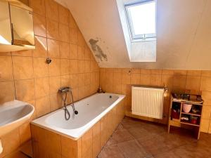 Prodej rodinného domu, Bor - Ostrov, 350 m2