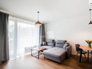 Pronájem bytu 2+kk, Plzeň - Východní Předměstí, Pallova, 46 m2