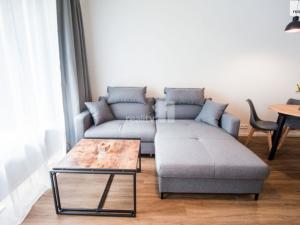 Pronájem bytu 2+kk, Plzeň - Východní Předměstí, Pallova, 46 m2