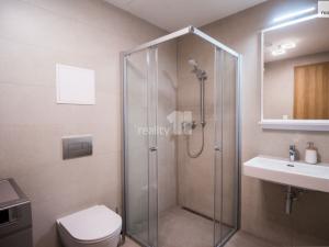 Pronájem bytu 2+kk, Plzeň - Východní Předměstí, Pallova, 46 m2