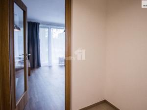 Pronájem bytu 2+kk, Plzeň - Východní Předměstí, Pallova, 46 m2