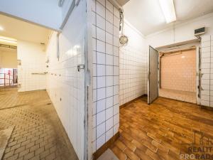 Prodej výrobních prostor, Tvarožná Lhota, 278 m2
