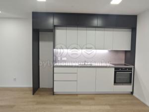 Pronájem bytu 1+kk, Brno, Ghegova, 42 m2