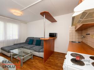 Pronájem bytu 1+1, Plzeň - Severní Předměstí, Brněnská, 48 m2
