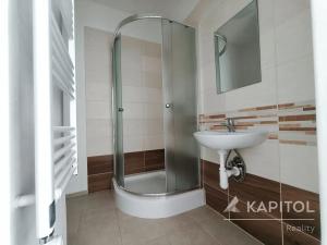 Pronájem bytu 1+1, Teplice, Smetanova, 42 m2
