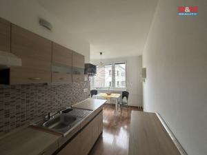 Pronájem bytu 1+1, Ústí nad Labem - Všebořice, 45 m2