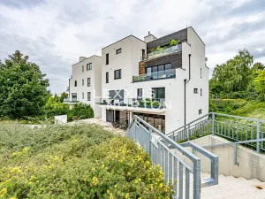 Pronájem bytu 2+kk, Praha - Břevnov, Radičova, 90 m2