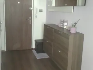 Pronájem bytu 2+kk, Brno, Svážná, 49 m2