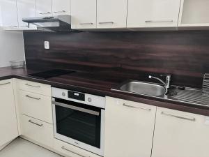 Pronájem bytu 1+kk, Brno, U Leskavy, 37 m2