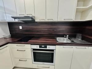 Pronájem bytu 1+kk, Brno, U Leskavy, 37 m2