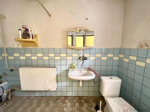 Prodej rodinného domu, Opava - Vávrovice, Jantarová, 250 m2