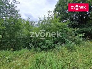 Prodej lesa, Zádveřice-Raková - Raková, 4964 m2