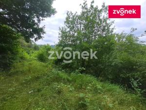 Prodej lesa, Zádveřice-Raková - Raková, 4964 m2