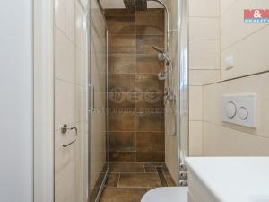 Pronájem bytu 2+1, Nová Role, 1. máje, 57 m2