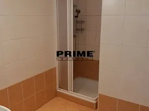 Pronájem bytu 2+1, Praha - Nové Město, Záhořanského, 124 m2