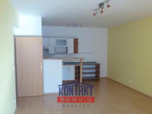 Pronájem bytu 1+kk, České Budějovice - České Budějovice 3, 47 m2