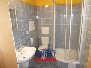 Pronájem bytu 1+kk, České Budějovice - České Budějovice 3, 47 m2