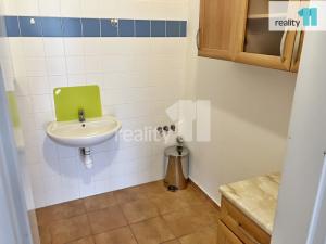 Prodej obchodního prostoru, Přeštice, Husova, 47 m2